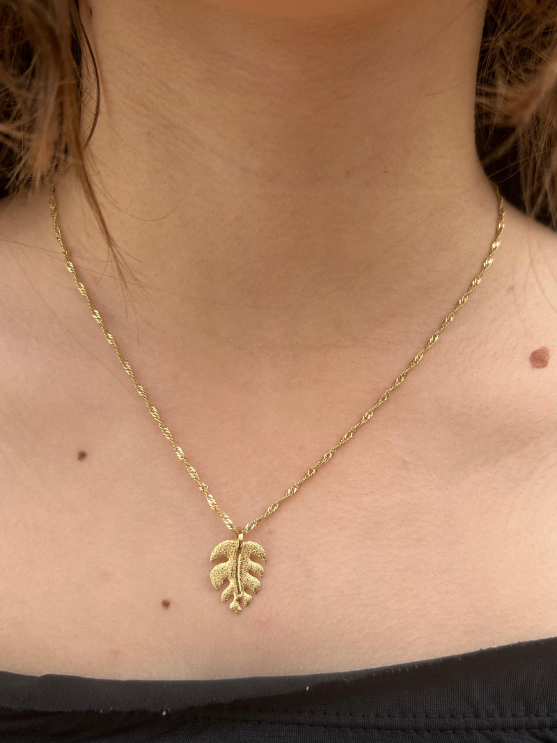 Corrente com Pingente Folha Costela de Adão Banhado a Ouro 18k